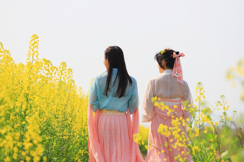 湖北浠水千畝油菜花海盛放