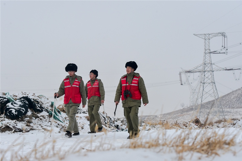 Tѩɽ_(ki)չݔ늾·Ѳҕz