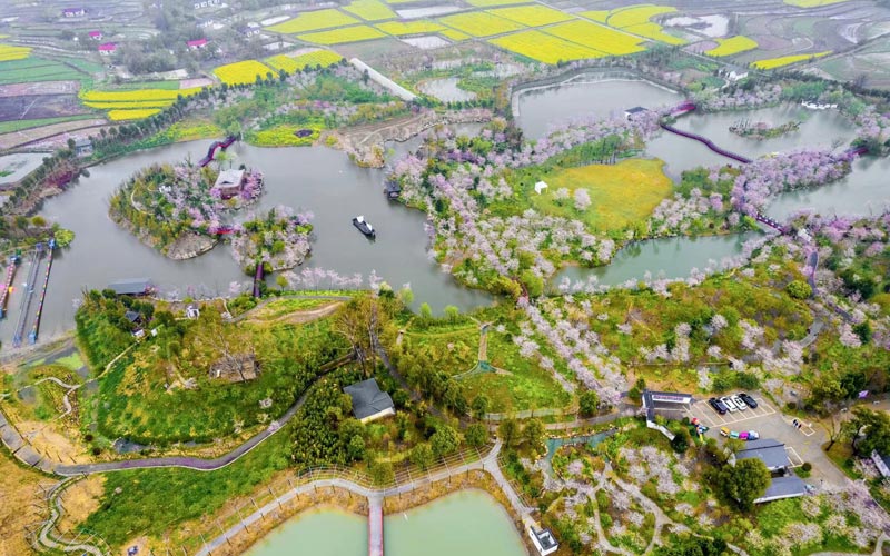 湖北荊門賞花節(jié)啟動(dòng) 十大精品線路發(fā)布