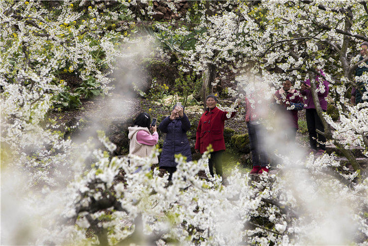 whɳ(zhn)Ϫ(zhn)߳ӈ@(ni)