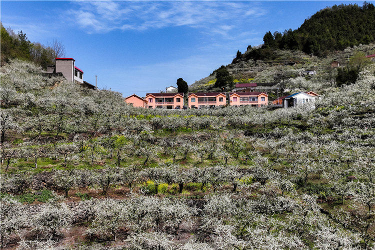 whɳ(zhn)Ϫ(zhn)߳ӈ@ 