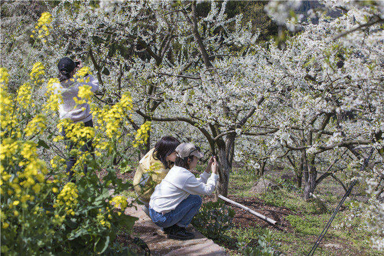 whɳ(zhn)Ϫ(zhn)߳ӈ@(ni)Ĕz