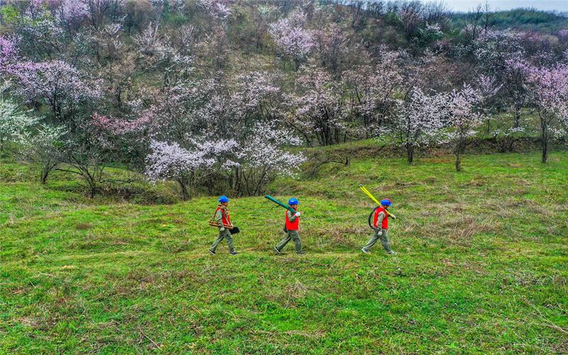 ꖹ늹˾hT(w)ڙѻʢ_gӏ·ѲzСŔz