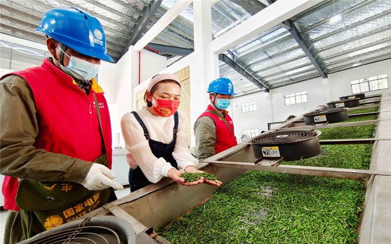 ʩй늹˾T΢ҕԄӲ~CM(jn)й늱κӢƽz