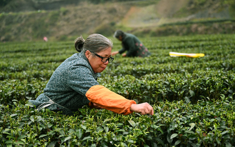 ë(zhn)r(nng)ǰ衣Kz