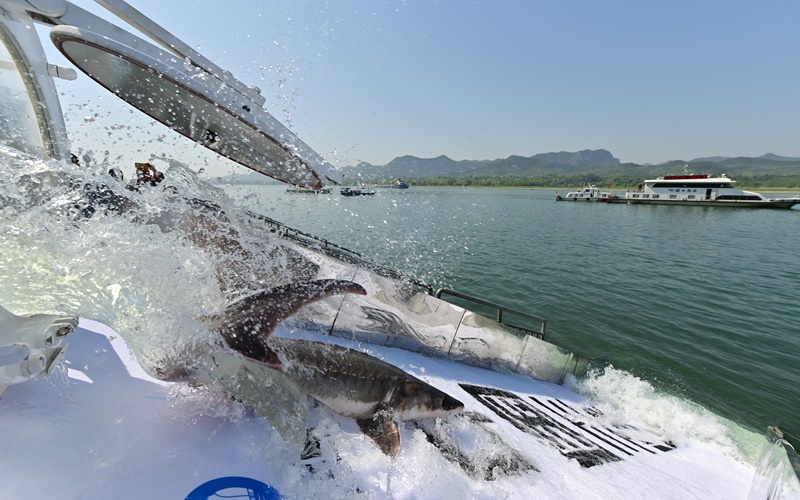 23f(wn)βA\ŚwL(zhng)F(xin)(chng)z