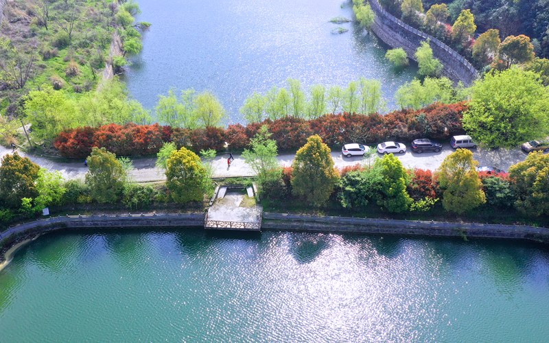 紫薇島吸引眾多游客前來踏青郊游