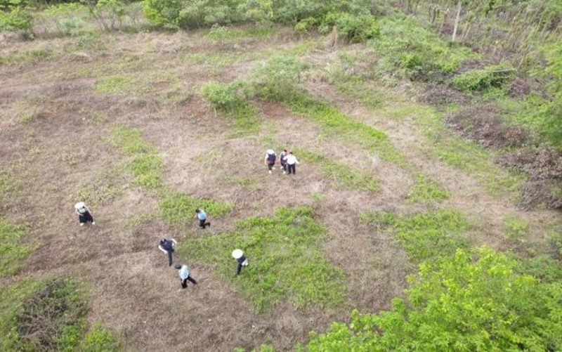 o˙C(j)ĺyF(xin)̤r