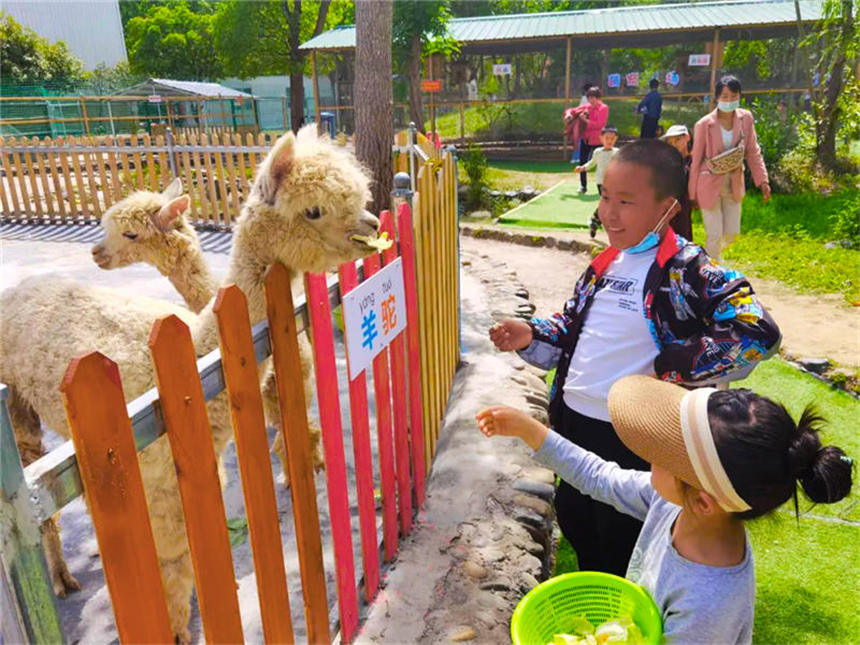 湖北十堰張灣區(qū)“五一”假期接待游客人數(shù)同比增長超19%【2】