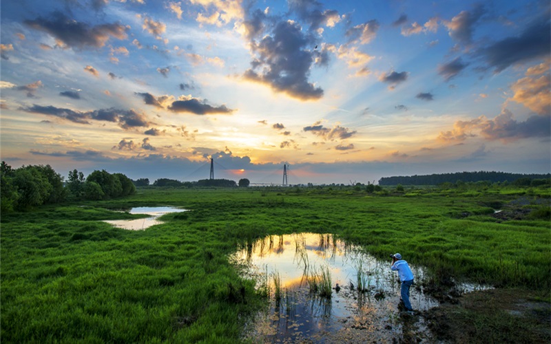 青山區(qū)武惠堤江灘濕地 李運(yùn)躍攝
