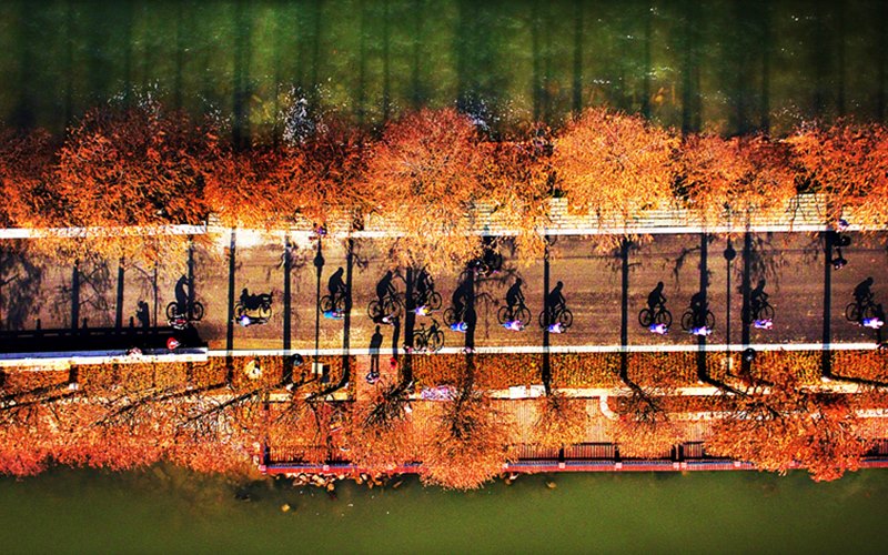 東湖綠道騎行 邱焰攝