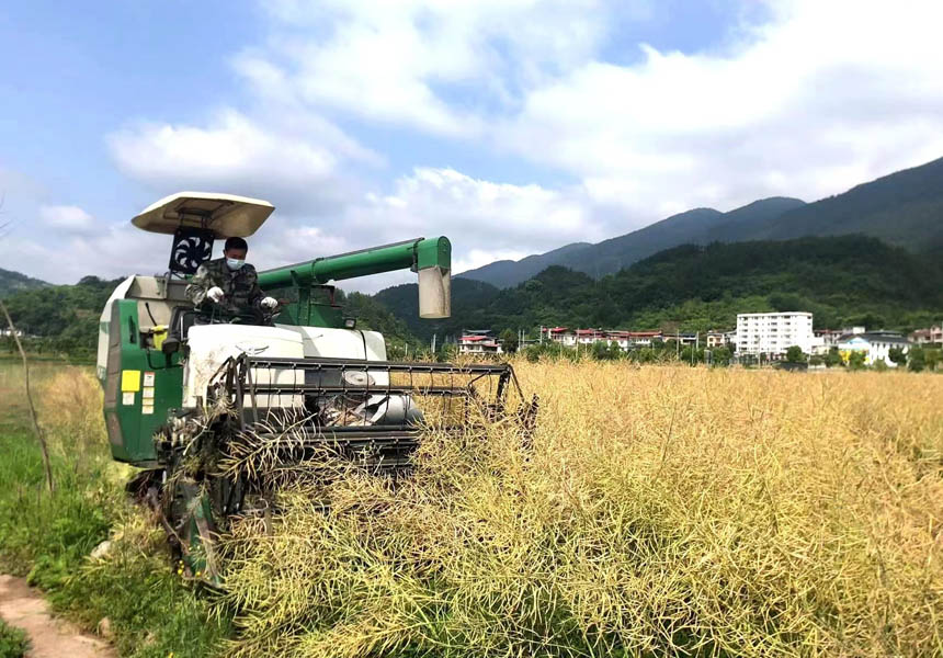 ϲ@Sʼ10fͲM(jn)ո