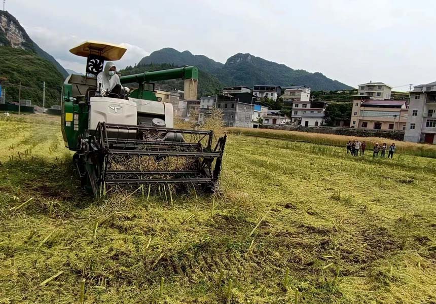 ϲ@Sգʼ10f(wn)ͲM(jn)ո2