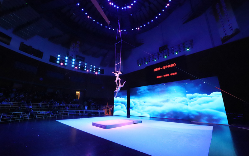 第六屆湖北雜技菊花獎全省雜技展演啟幕。郭昊攝