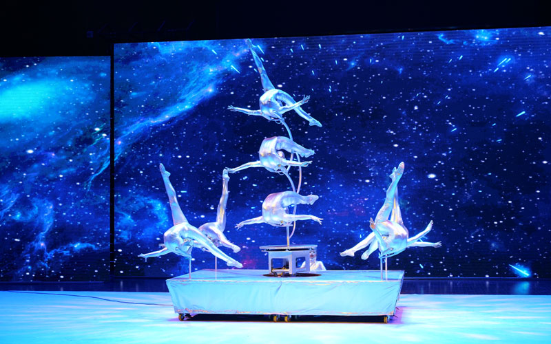 第六屆湖北雜技菊花獎(jiǎng)?wù)寡荽蛟煲曈X“盛宴”