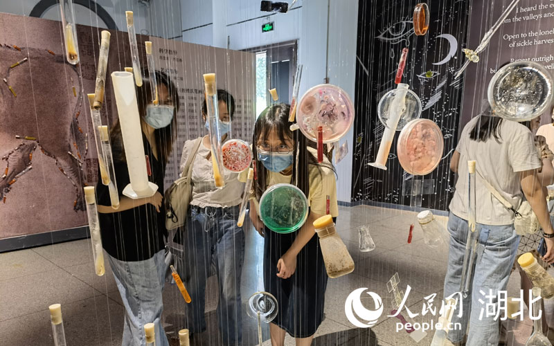 (chung)Ҋˇg(sh)չW(wng) z