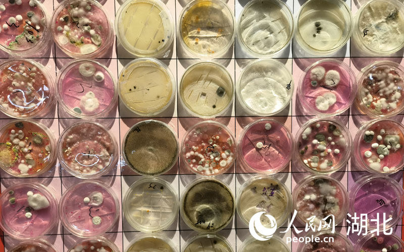 (chung)Ҋˇg(sh)չW(wng) z