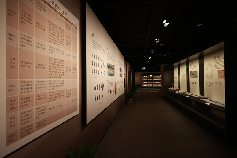 Ŀǰԓ�^�O(sh��)������(g��)����������������Ų����^���D