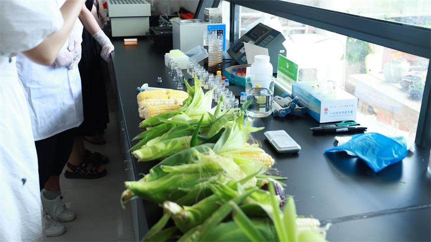 hh6f׫@S әzyʳƷȫ2