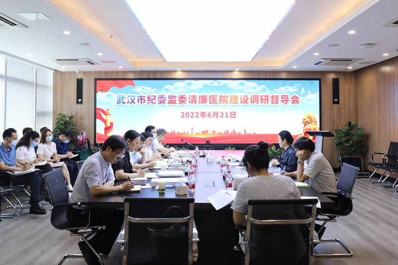 武漢市紀委監(jiān)委督導組檢查清廉醫(yī)院建設。梅群超攝