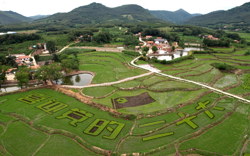 ʡ˳ˮ(zhn)庽ĵĵﮋ