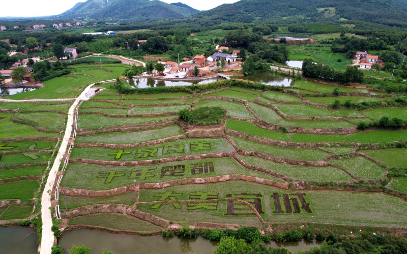 ʡ˳ˮ(zhn)庽ĵĵﮋ(hu)