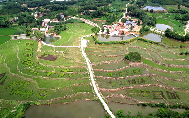 ʡ˳ˮ(zhn)庽ĵĵﮋ