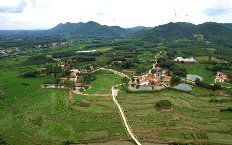 ʡ˳ˮ(zhn)庽ĵĵﮋ