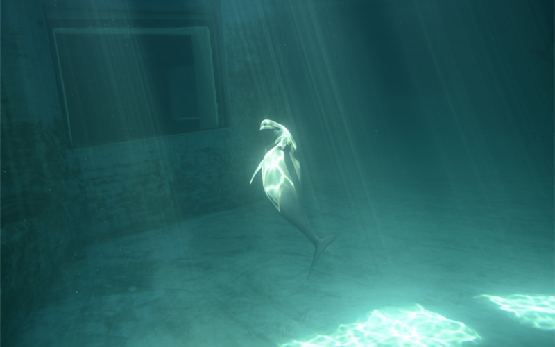 福久在武漢白鱀豚館。武漢白鱀豚保護(hù)基金會供圖