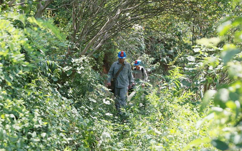 國網(wǎng)宜昌供電公司輸電運(yùn)檢分公司運(yùn)維一班副班長祝萬波，運(yùn)維工王建明、夏鈺杰向著山頂?shù)蔫F塔進(jìn)發(fā)。李治飛、羅喻昀攝