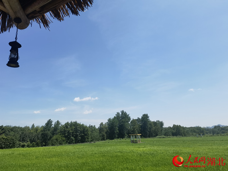 “小自然”田園風(fēng)光。人民網(wǎng)周雯攝