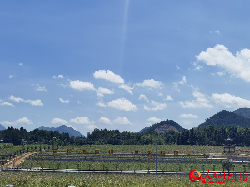 七彩藥谷。周雯攝