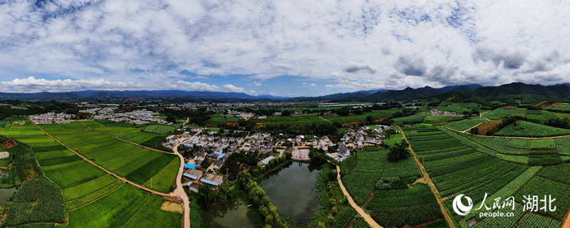 云南省普洱市景谷縣永平鎮(zhèn)芒費(fèi)村七七村民小組航拍。人民網(wǎng) 記者李發(fā)興攝