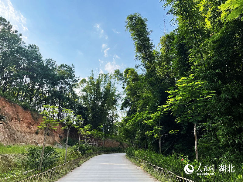 芒現(xiàn)村民小組曲徑通幽。人民網(wǎng) 周恬攝