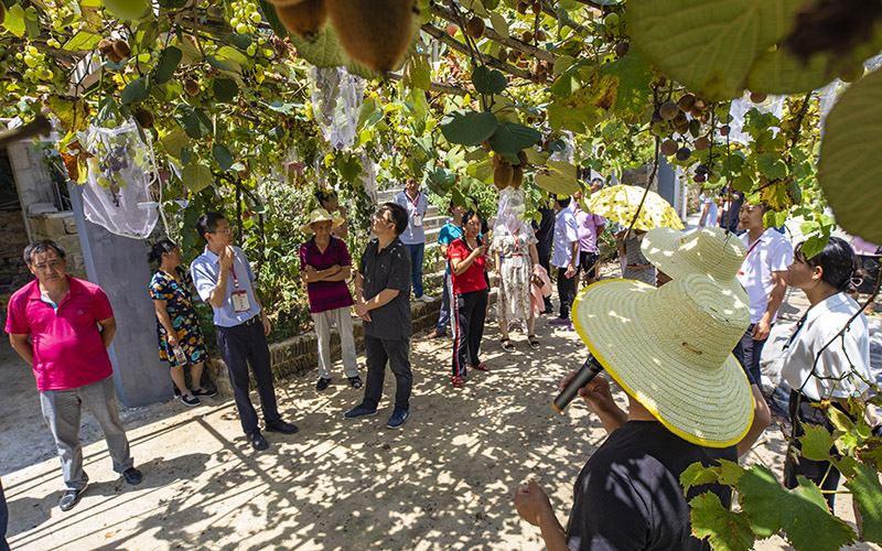 人大代表與農(nóng)戶“手拉手” 扮靚鄉(xiāng)村。