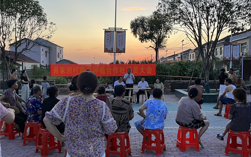 鎮(zhèn)、村干部圍坐一圈開展村灣夜話