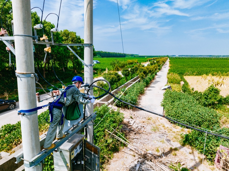 工作人員檢查電纜絕緣情況。毛強(qiáng)攝