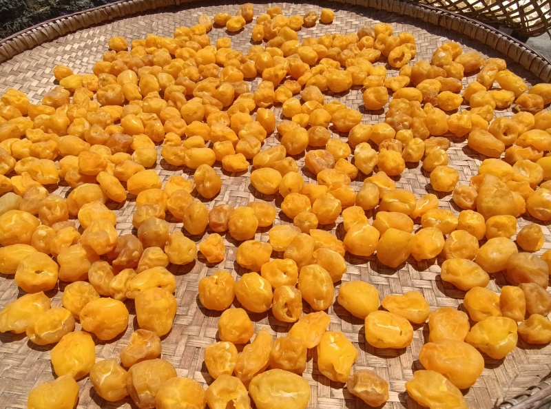 湖北建始曬豐收。