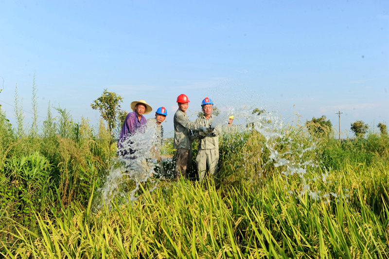 干部群眾和孝昌縣供電公司大廟供電所供電人員一起架設(shè)抗旱線路和水泵抽水抗旱。