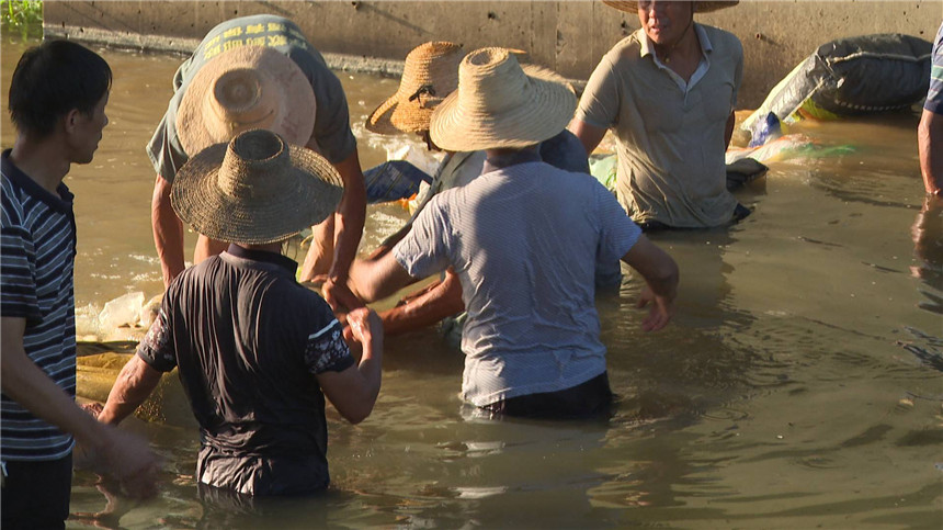 群策群力節(jié)水抗大旱。