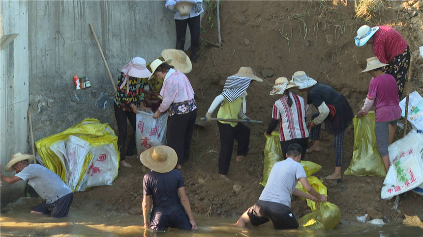 群策群力節(jié)水抗大旱。
