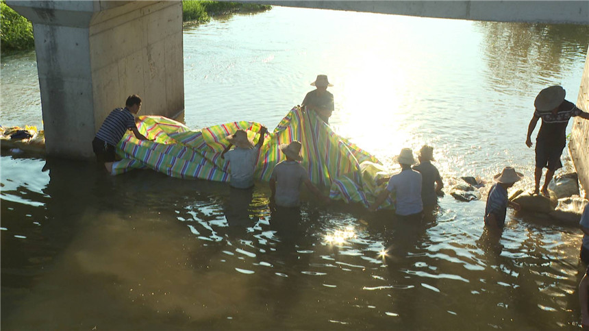 群策群力節(jié)水抗大旱。