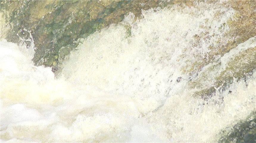 群策群力節(jié)水抗大旱。