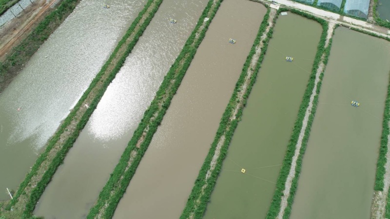 鄖西水石門水庫為城關(guān)鎮(zhèn)生態(tài)魚業(yè)養(yǎng)殖提供清潔水源。