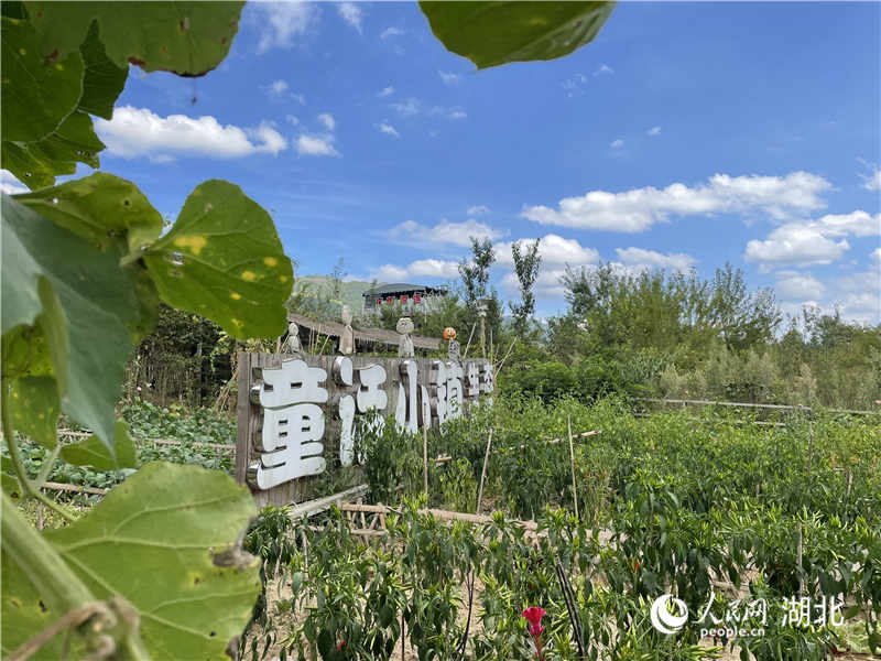利川市汪營鎮(zhèn)齊躍橋村童話小鎮(zhèn)生態(tài)農(nóng)場。人民網(wǎng) 周恬攝
