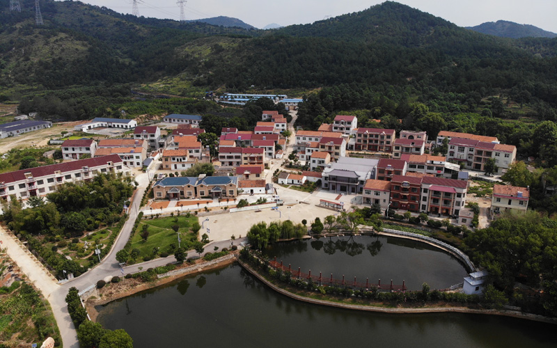 苦竹鄉(xiāng)養(yǎng)馬嶺村鳥瞰圖。曹錦軍攝