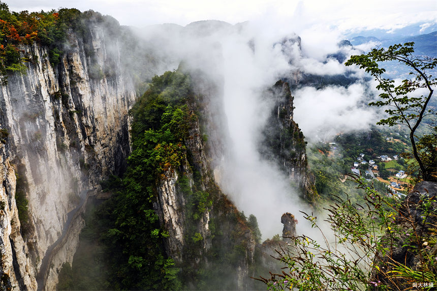 湖北建始:秋韻黃鶴橋 仙境醉游人