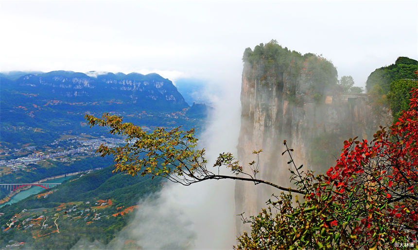 湖北建始:秋韻黃鶴橋 仙境醉游人