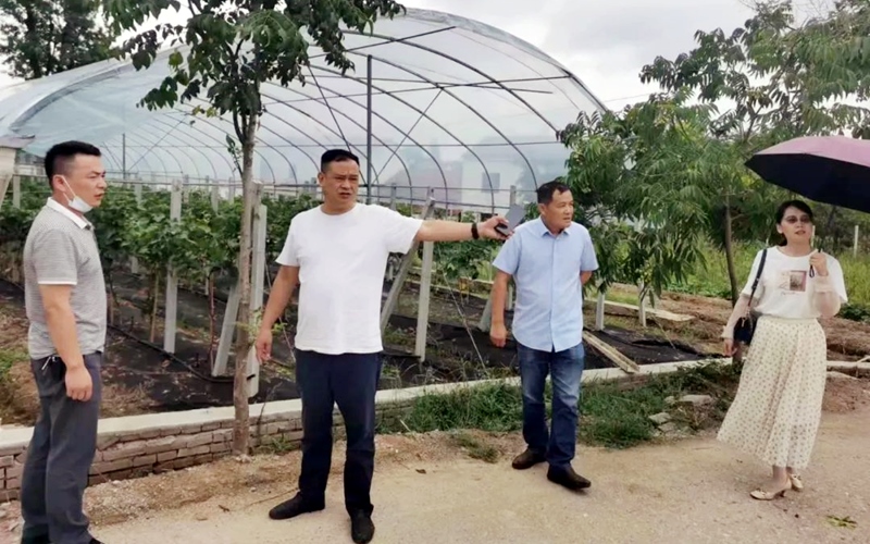 人才服務(wù)專班在梅川鎮(zhèn)李興泗村與村書記、企業(yè)負(fù)責(zé)人研究解決問題。