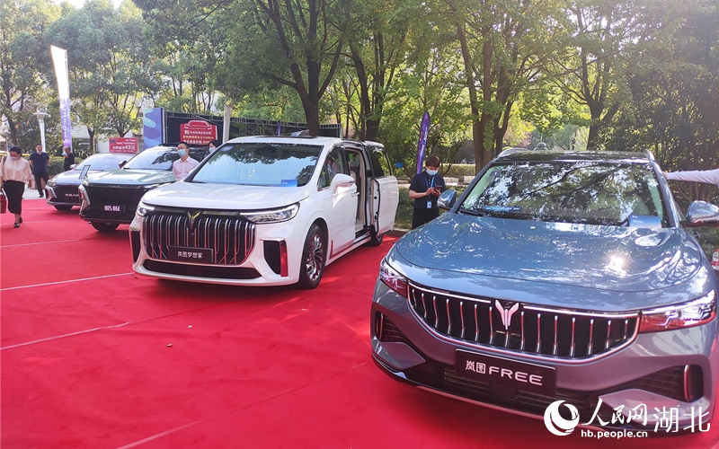 2022年湖北省金秋汽車(chē)消費(fèi)季正式啟動(dòng)。人民網(wǎng)郭婷婷攝